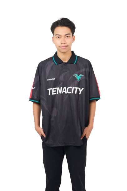 Player image