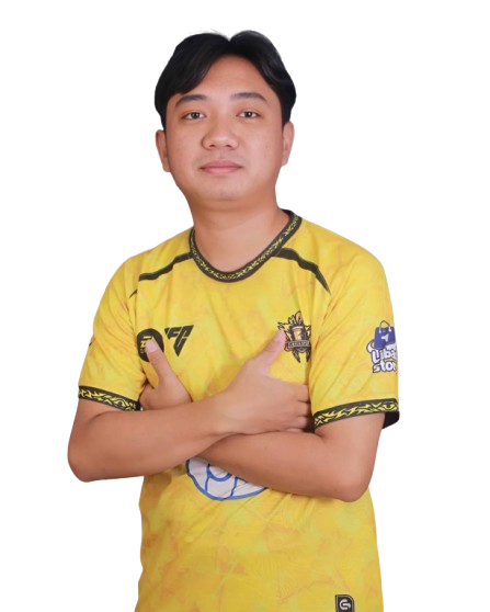 Player image