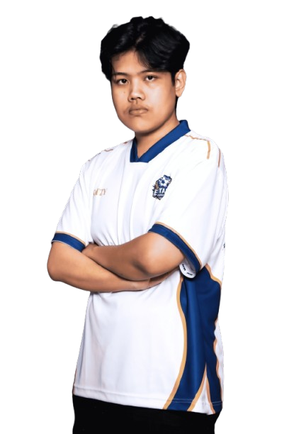 Player image