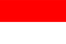 COSMO E-Sports flag