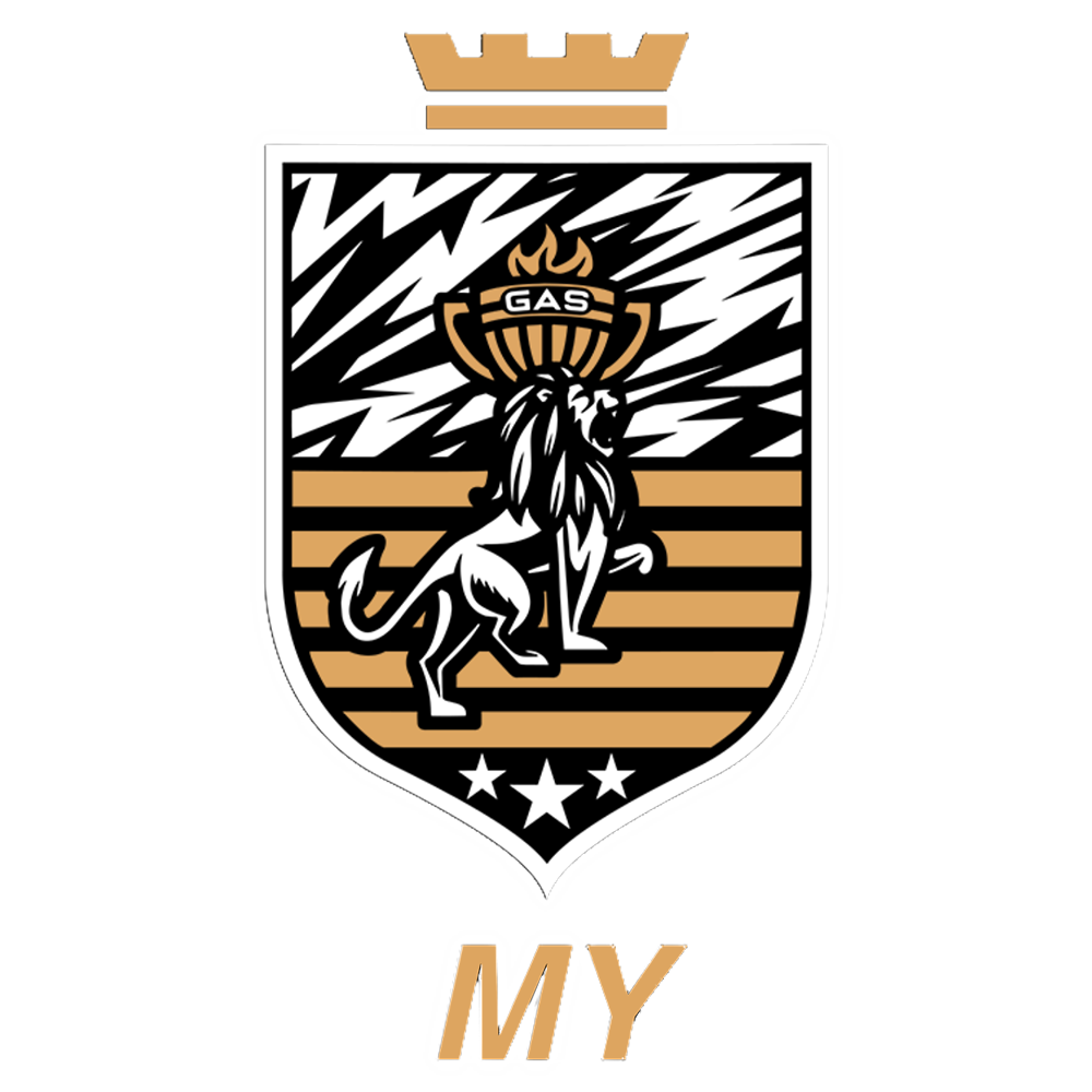 Team logo