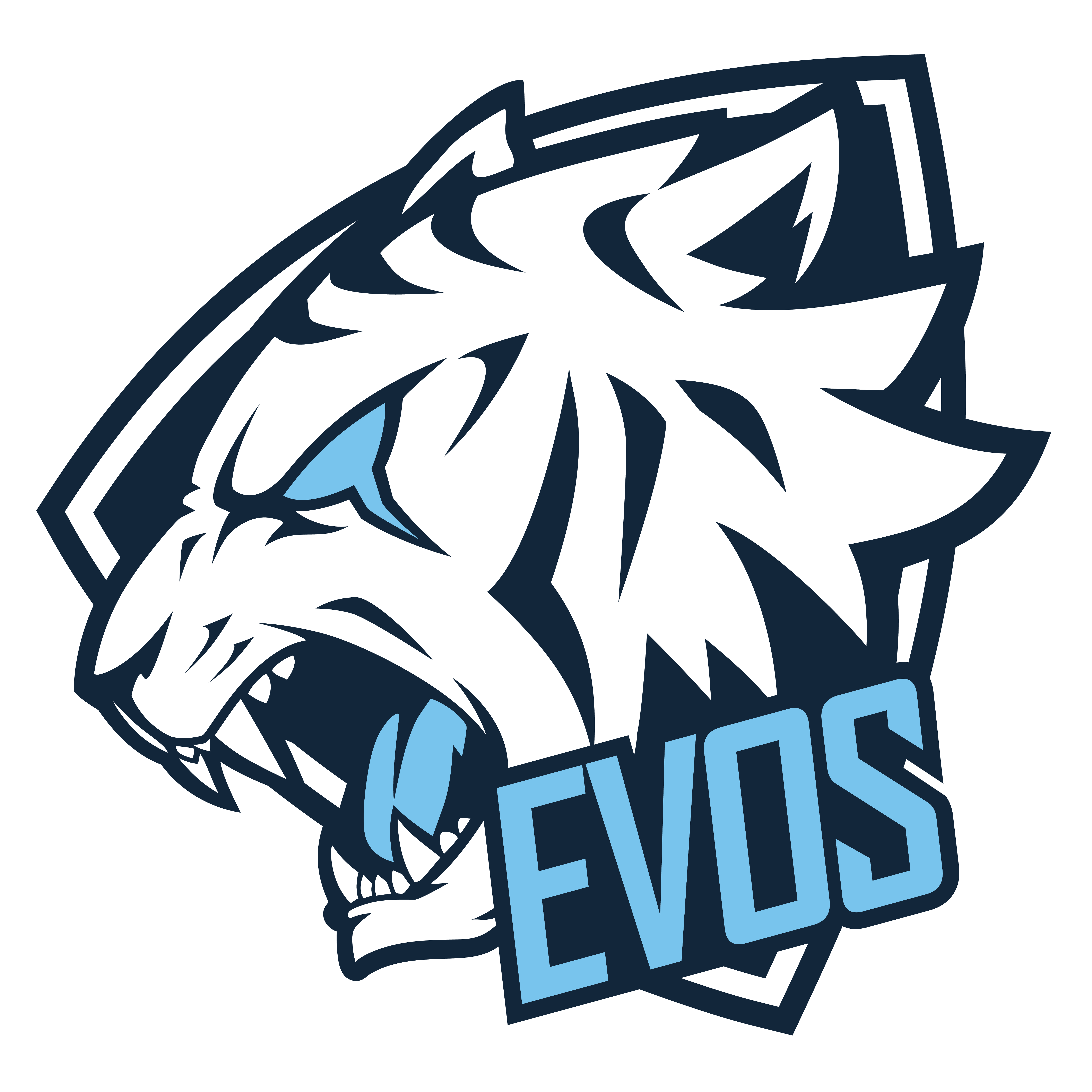 Team logo