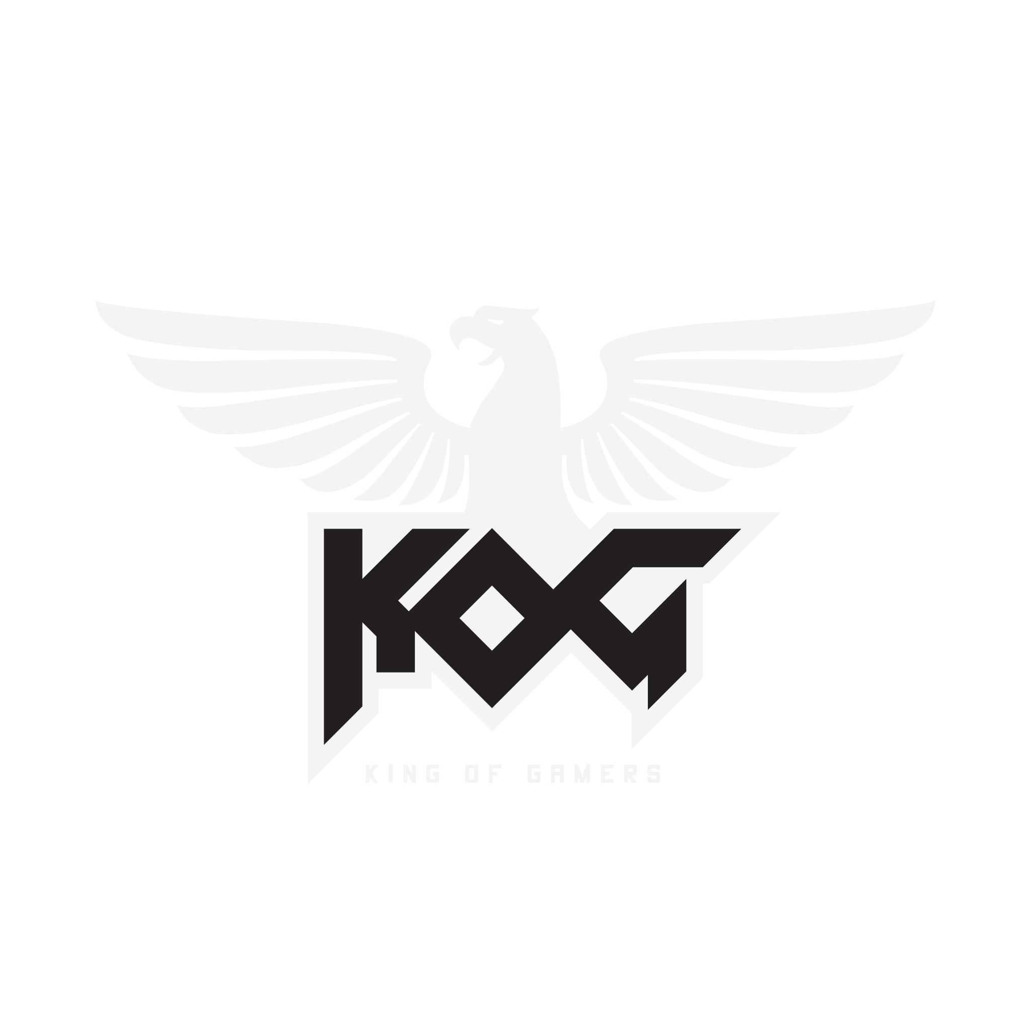 Team logo