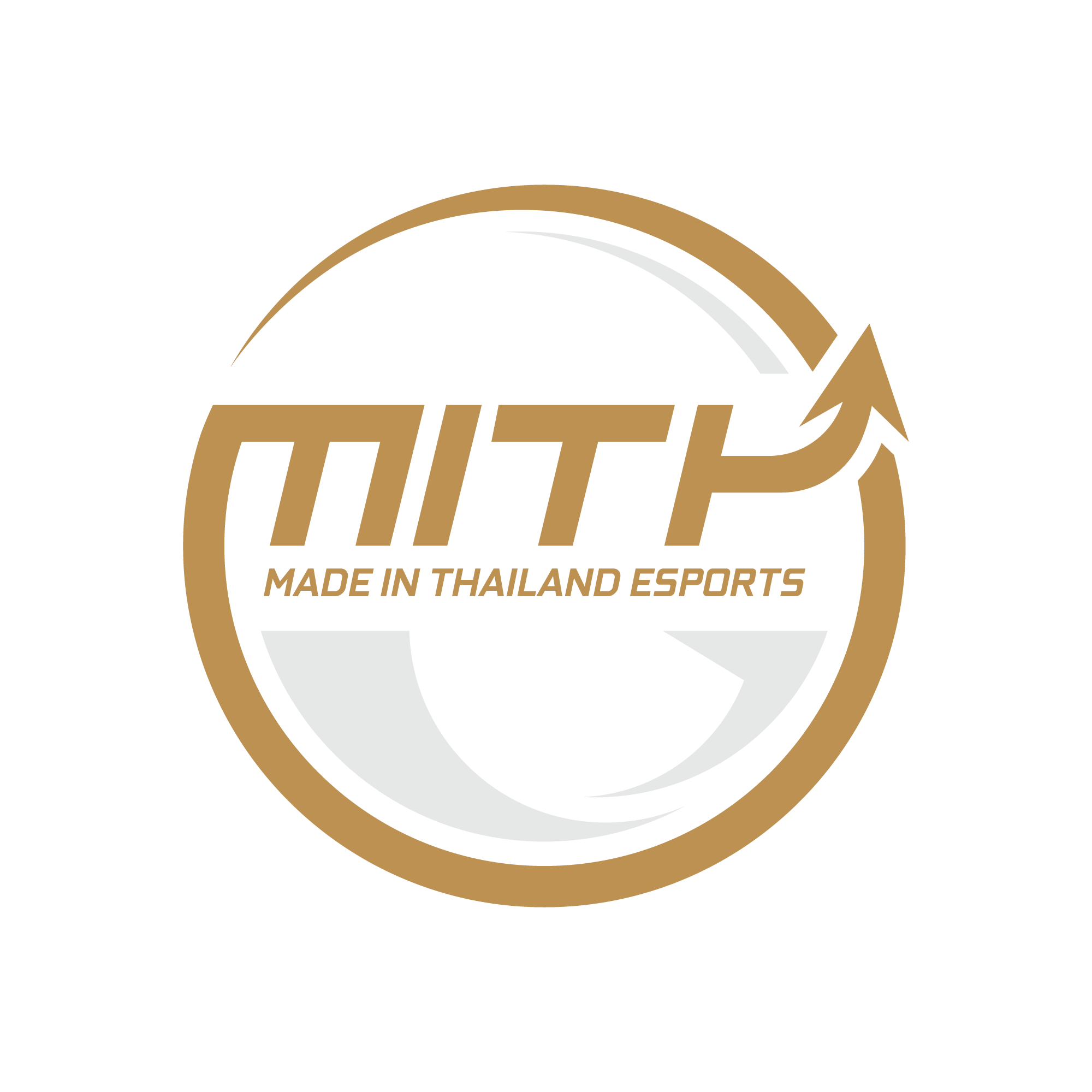 Team logo